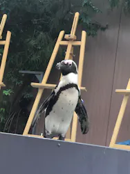 マクセル アクアパーク品川に投稿された画像(2026/8/11)