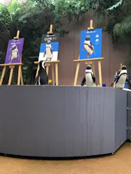 マクセル アクアパーク品川に投稿された画像(2026/8/11)
