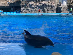 名古屋港水族館に投稿された画像(2026/8/11)