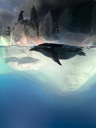 名古屋港水族館に投稿された画像(2026/8/11)