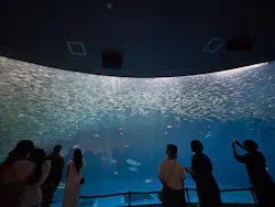 名古屋港水族館に投稿された画像(2026/8/11)