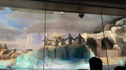 名古屋港水族館に投稿された画像(2026/8/11)