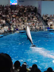 マクセル アクアパーク品川に投稿された画像(2026/8/11)