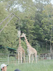 名古屋市東山動植物園に投稿された画像(2026/8/11)