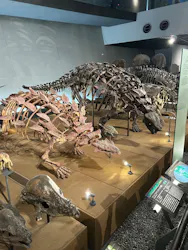 福井県立恐竜博物館に投稿された画像(2026/8/12)