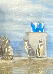 新江ノ島水族館に投稿された画像(2026/8/12)