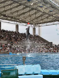 名古屋港水族館に投稿された画像(2026/8/12)