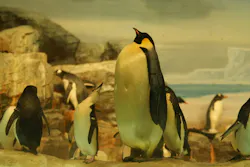 名古屋港水族館に投稿された画像(2026/8/12)