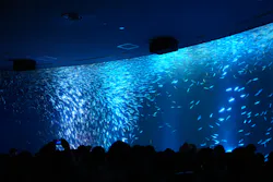 名古屋港水族館に投稿された画像(2026/8/12)