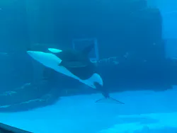 名古屋港水族館に投稿された画像(2026/8/12)