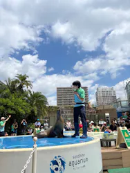 サンシャイン水族館に投稿された画像(2026/8/12)