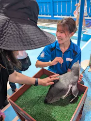 ゼロ距離水族館 伊勢シーパラダイスに投稿された画像(2026/8/12)