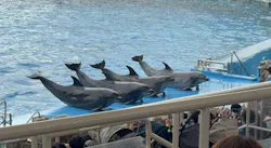 名古屋港水族館に投稿された画像(2026/8/12)