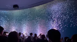 名古屋港水族館に投稿された画像(2026/8/12)