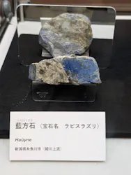 国立科学博物館に投稿された画像(2026/8/12)