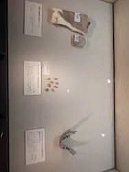 国立科学博物館に投稿された画像(2026/8/12)