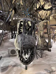 国立科学博物館に投稿された画像(2026/8/12)