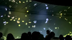 サンシャイン水族館に投稿された画像(2026/8/13)
