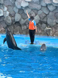 名古屋港水族館に投稿された画像(2026/8/13)