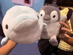 アクアワールド茨城県大洗水族館に投稿された画像(2026/8/13)