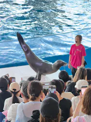 アクアワールド茨城県大洗水族館に投稿された画像(2026/8/13)
