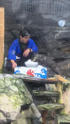 アクアワールド茨城県大洗水族館に投稿された画像(2026/8/13)