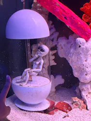 ひらかたパークに投稿された画像(2026/8/13)