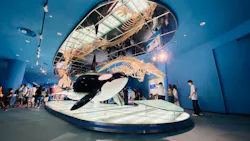 名古屋港水族館に投稿された画像(2026/8/13)
