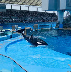 名古屋港水族館に投稿された画像(2026/8/13)