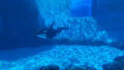 名古屋港水族館に投稿された画像(2026/8/13)