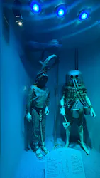 名古屋港水族館に投稿された画像(2026/8/13)