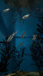 名古屋港水族館に投稿された画像(2026/8/13)