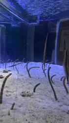 名古屋港水族館に投稿された画像(2026/8/13)
