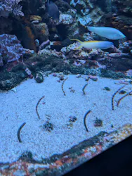 サンシャイン水族館に投稿された画像(2026/8/13)
