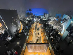 福井県立恐竜博物館に投稿された画像(2026/8/13)