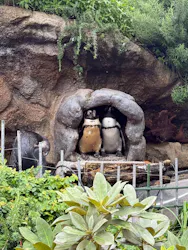 サンシャイン水族館に投稿された画像(2026/8/13)