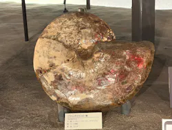 福井県立恐竜博物館に投稿された画像(2026/8/13)
