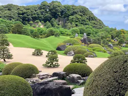 足立美術館に投稿された画像(2026/8/13)