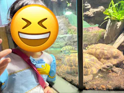 サンシャイン水族館に投稿された画像(2026/8/13)