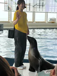 アクアワールド茨城県大洗水族館に投稿された画像(2026/8/13)
