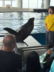 アクアワールド茨城県大洗水族館に投稿された画像(2026/8/13)