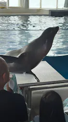 アクアワールド茨城県大洗水族館に投稿された画像(2026/8/13)