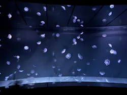 サンシャイン水族館に投稿された画像(2026/8/13)