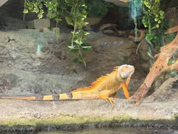 サンシャイン水族館に投稿された画像(2026/8/13)