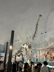 福井県立恐竜博物館に投稿された画像(2026/8/13)