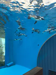 サンシャイン水族館に投稿された画像(2026/8/14)