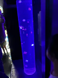サンシャイン水族館に投稿された画像(2026/8/14)