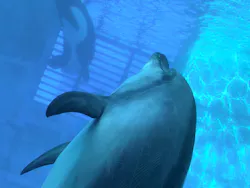 名古屋港水族館に投稿された画像(2026/8/14)