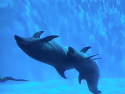 名古屋港水族館に投稿された画像(2026/8/14)