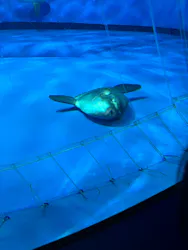 アクアワールド茨城県大洗水族館に投稿された画像(2026/8/14)